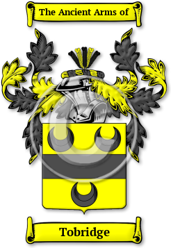 Tobridge Family Crest Download (jpg) Legacy Series - 150 DPI