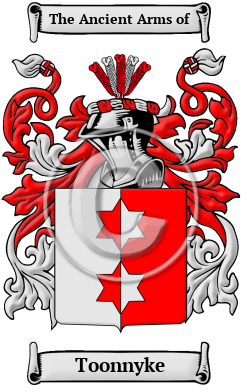 Toonnyke Family Crest/Coat of Arms