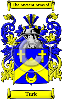 Turk Name Meaning, Family History, Family Crest & Coats of Arms