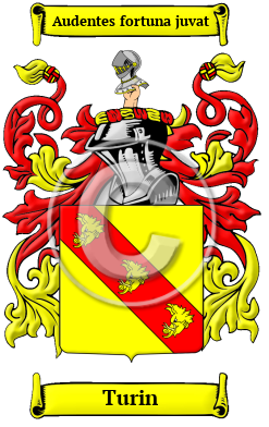 Turin Name Meaning, Family History, Family Crest & Coats of Arms