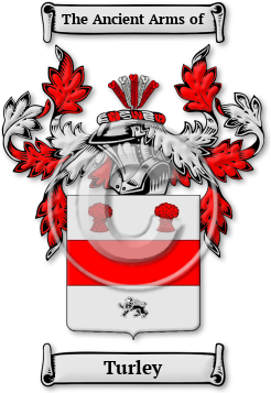 Turley Family Crest Download (jpg) Legacy Series - 150 DPI