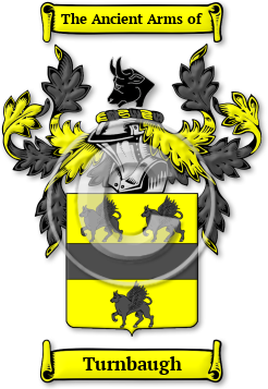 Turnbaugh Family Crest Download (JPG) Legacy Series - 600 DPI