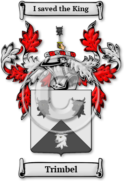 Trimbel Family Crest Download (JPG) Legacy Series - 600 DPI