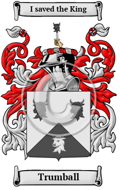 Trumball Family Crest/Coat of Arms