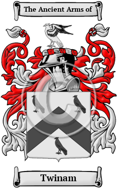 Twinam Family Crest/Coat of Arms