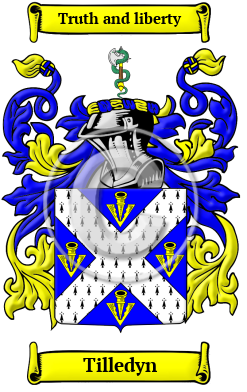 Tilledyn Family Crest/Coat of Arms