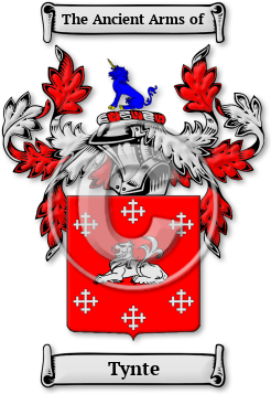 Tynte Family Crest Download (jpg) Legacy Series - 150 DPI