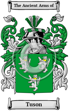 Tuson Family Crest/Coat of Arms