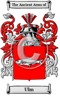 Ulm Family Crest/Coat of Arms