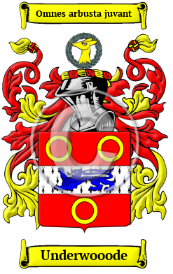 Underwooode Family Crest/Coat of Arms