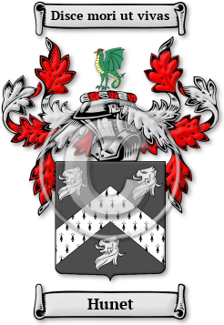 Hunet Family Crest Download (jpg) Legacy Series - 150 DPI