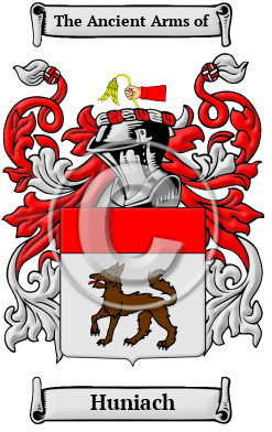 Huniach Family Crest/Coat of Arms