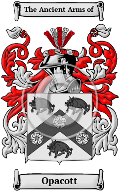 Opacott Family Crest/Coat of Arms