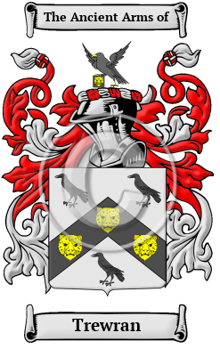 Trewran Family Crest/Coat of Arms