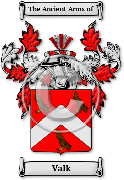 Valk Family Crest Download (JPG) Legacy Series - 600 DPI