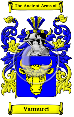 Vannucci Family Crest/Coat of Arms