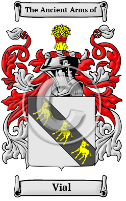Vial Family Crest/Coat of Arms
