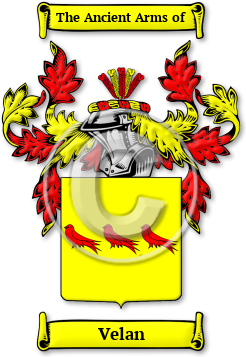 Velan Family Crest Download (jpg) Legacy Series - 150 DPI