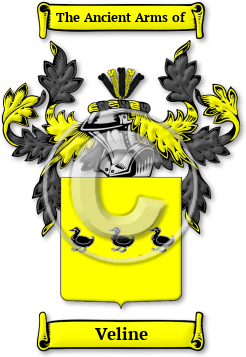 Veline Family Crest Download (JPG) Legacy Series - 600 DPI