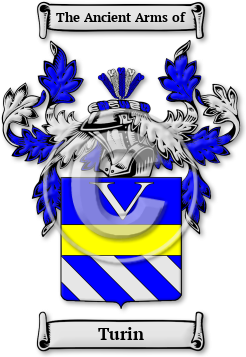 Turin Family Crest Download (jpg) Legacy Series - 150 DPI