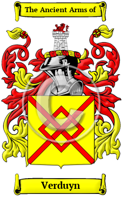 Verduyn Family Crest/Coat of Arms