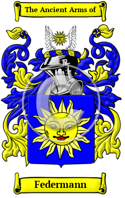 Federmann Family Crest/Coat of Arms