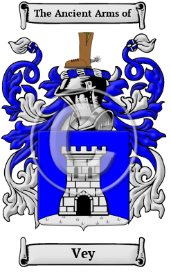 Vey Family Crest/Coat of Arms