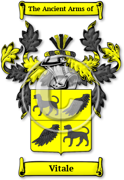 Vitale Family Crest Download (jpg) Legacy Series - 150 DPI