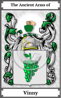 Vinny Family Crest Download (JPG)  Book Plated - 150 DPI