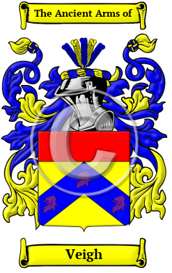 Veigh Family Crest/Coat of Arms