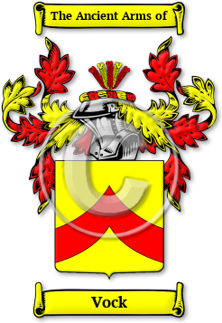 Vock Family Crest Download (jpg) Legacy Series - 150 DPI