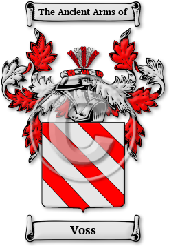 Voss Family Crest Download (jpg) Legacy Series - 150 DPI