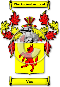 Vos Family Crest Download (JPG) Legacy Series - 600 DPI