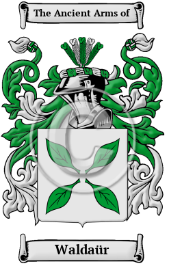 Waldaür Family Crest/Coat of Arms
