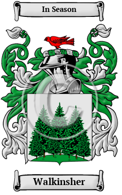 Walkinsher Family Crest/Coat of Arms