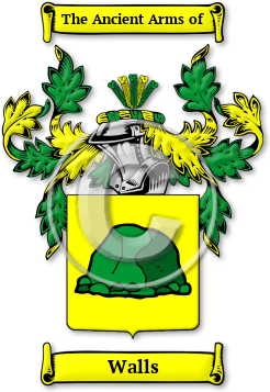 Walls Family Crest Download (jpg) Legacy Series - 150 DPI