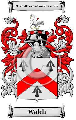 Walch Family Crest/Coat of Arms