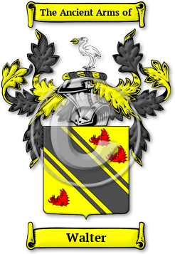 Walter Family Crest Download (jpg) Legacy Series - 150 DPI