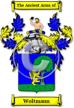 Woltmann Family Crest Download (jpg) Legacy Series - 150 DPI