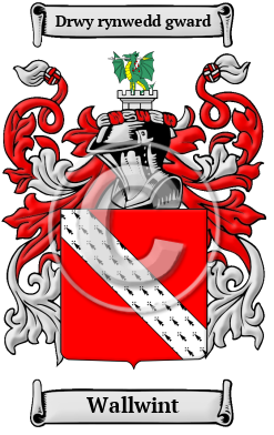 Wallwint Family Crest/Coat of Arms