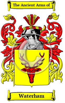 Waterham Family Crest/Coat of Arms