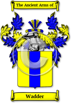 Wadder Family Crest Download (jpg) Legacy Series - 150 DPI