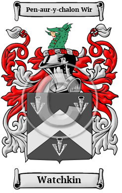 Watchkin Family Crest Download (JPG) Heritage Series - 600 DPI