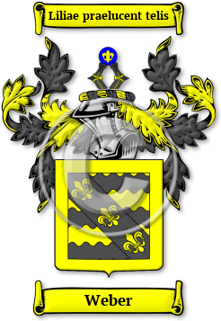 Weber Family Crest Download (jpg) Legacy Series - 150 DPI