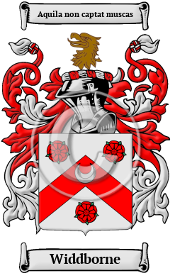Widdborne Family Crest/Coat of Arms