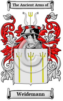 Weidemann Family Crest/Coat of Arms