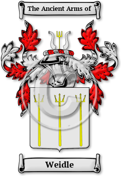 Weidle Family Crest Download (JPG) Legacy Series - 600 DPI