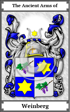 Weinberg Family Crest Download (JPG)  Book Plated - 150 DPI