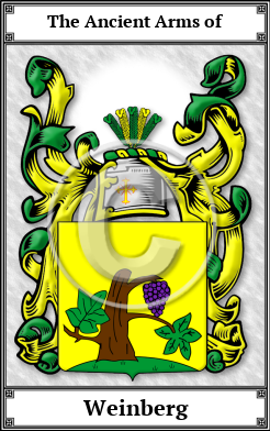 Weinberg Family Crest Download (JPG)  Book Plated - 150 DPI