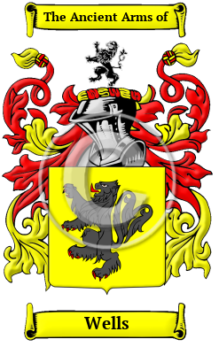 Wells Family Crest/Coat of Arms